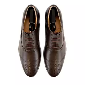 Wingtip Patterned Oxfords